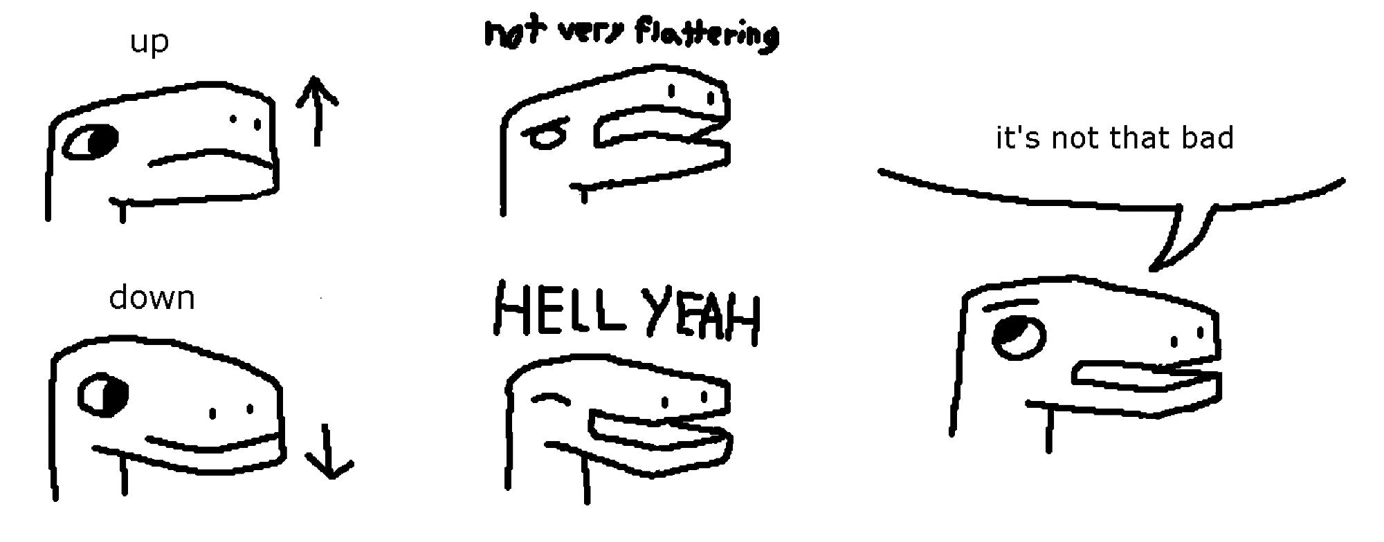 some drawings in paint.


it's 5 portraits of some lizard/dino guy, with some decent 3d.



first column has two. one is tilted up, and the other is tilted down. there's text saying up and down, and arrows pointing up and down accordingly.



second column also has two. they're more expressive. the first one is tilted up, with them showing an annoyed expression and saying "not very flattering". the second one is tilted down, with them happy and saying "HELL YEAH". their mouth is open on both of them, to test drawing an open mouth.



third column just has one. they're looking left, slightly rolling their eyes, saying "it's not that bad".